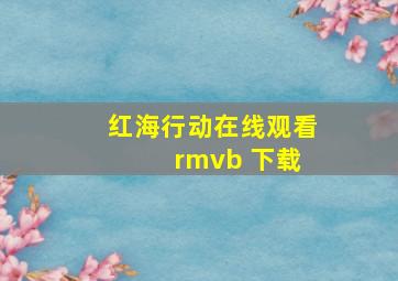 红海行动在线观看 rmvb 下载